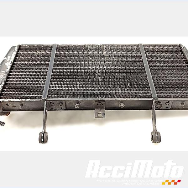 Pièce Moto Radiateur de refroidissement TRIUMPH SPRINT 955I RS