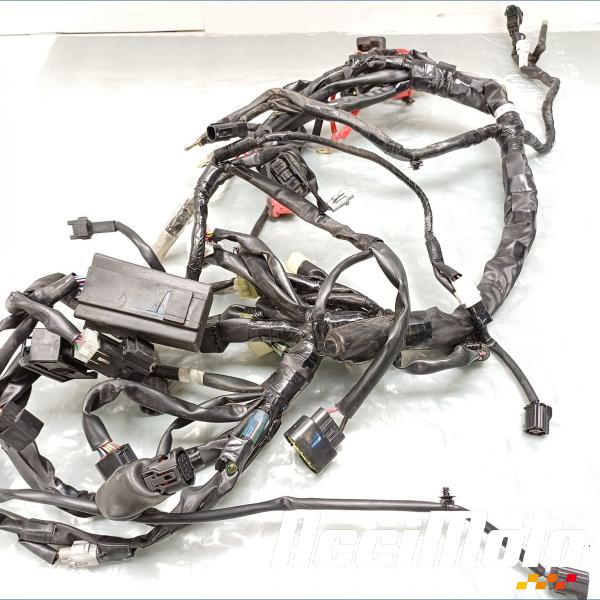Pièce Moto Faisceau électrique (principal) YAMAHA R7 YZF