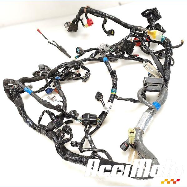 Pièce Moto Faisceau électrique (principal) SUZUKI V-STROM DL1050 DE