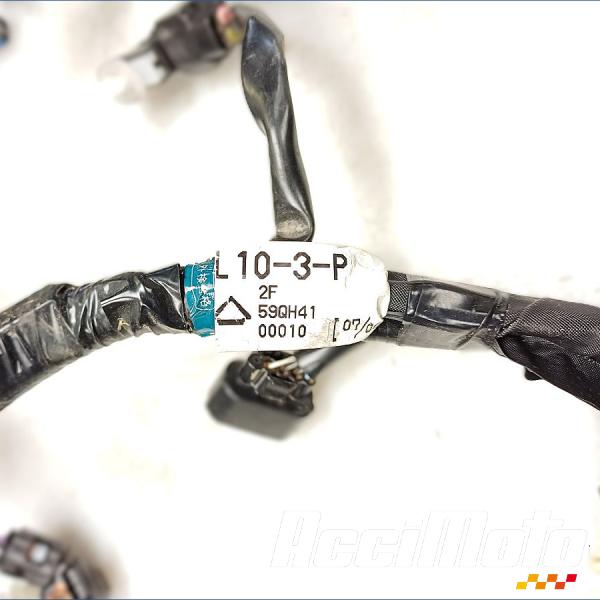 Pièce Moto Faisceau électrique (principal) SUZUKI V-STROM DL1050 DE