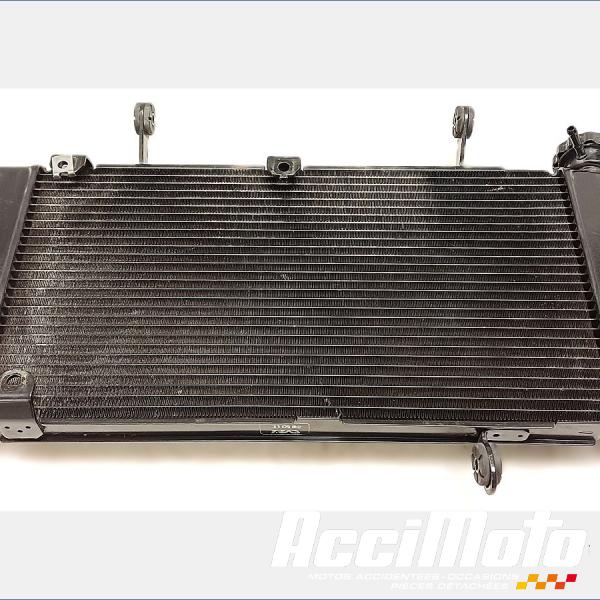 Part Motor bike Radiateur de refroidissement SUZUKI V-STROM DL1050 DE