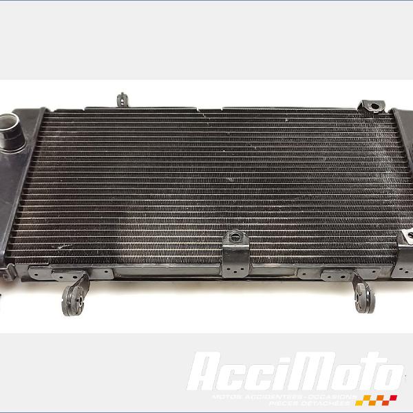 Part Motor bike Radiateur de refroidissement SUZUKI V-STROM DL1050 DE