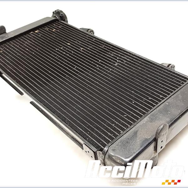 Part Motor bike Radiateur de refroidissement SUZUKI V-STROM DL1050 DE
