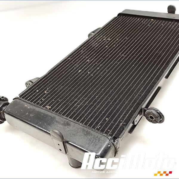 Part Motor bike Radiateur de refroidissement SUZUKI V-STROM DL1050 DE