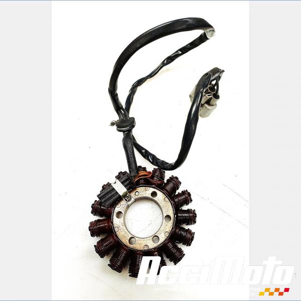 Pièce Moto Stator d'alternateur BMW S1000 R