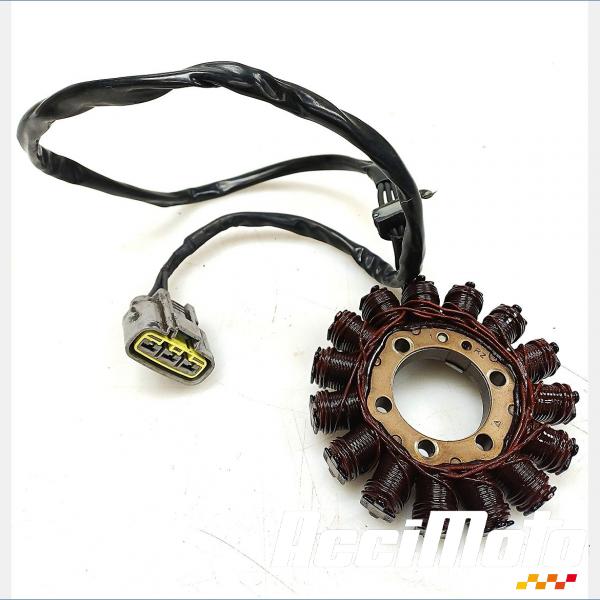 Pièce Moto Stator d'alternateur BMW S1000 R