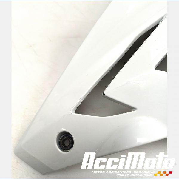 Pièce Moto écope de radiateur (droit) BMW S1000 R