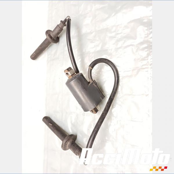 Pièce Moto Bobine d'allumage (1/4) YAMAHA FAZER FZS1000