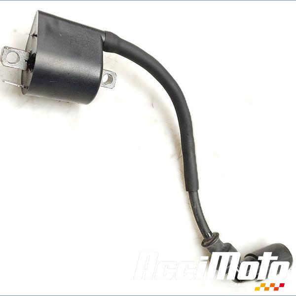 Part Motor bike Bobine d'allumage cylindre arrière SUZUKI V-STROM DL1050 DE