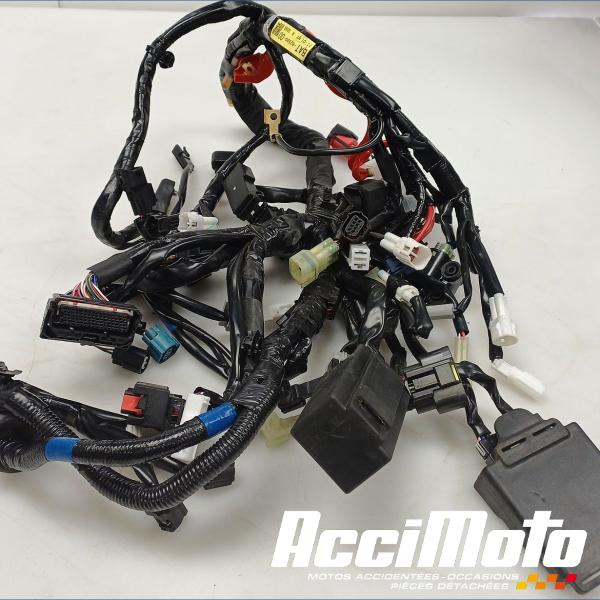 Part Motor bike Faisceau électrique (principal) YAMAHA MT-07