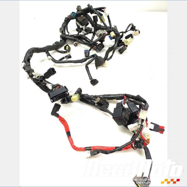 Pièce Moto Faisceau électrique (principal) YAMAHA MT-09