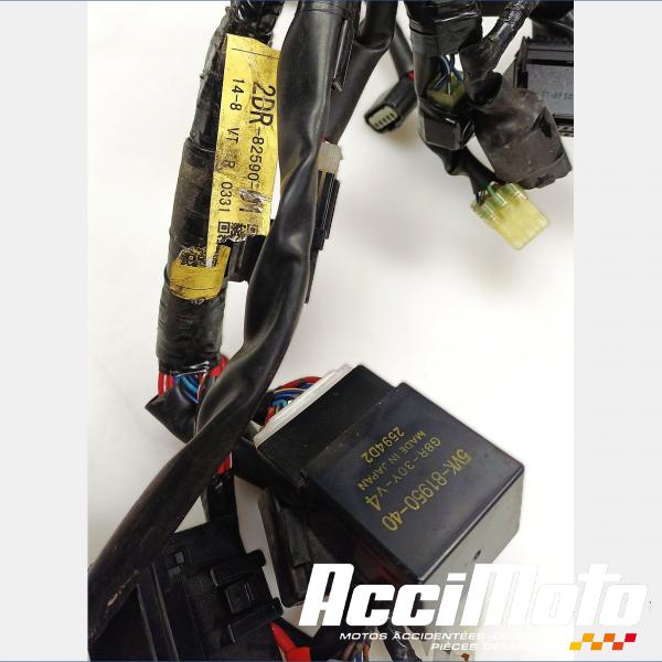 Pièce Moto Faisceau électrique (principal) YAMAHA MT-09