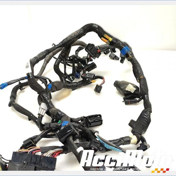 Part Motor bike Faisceau électrique (principal) SUZUKI GSXR 1340 HAYABUSA
