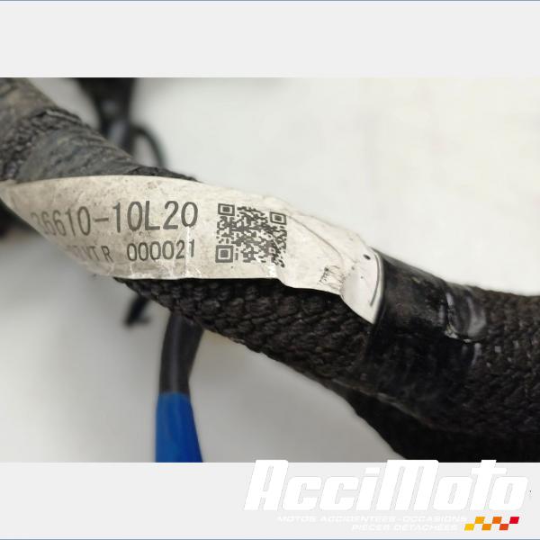 Part Motor bike Faisceau électrique (principal) SUZUKI GSXR 1340 HAYABUSA