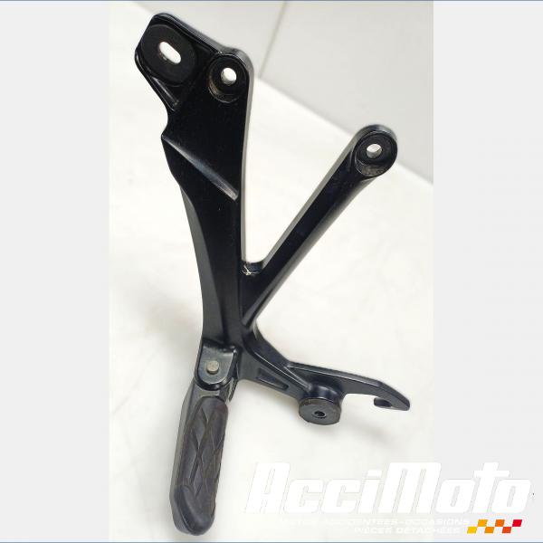 Part Motor bike Platine repose-pied arrière (gauche) SUZUKI GSXR 1340 HAYABUSA