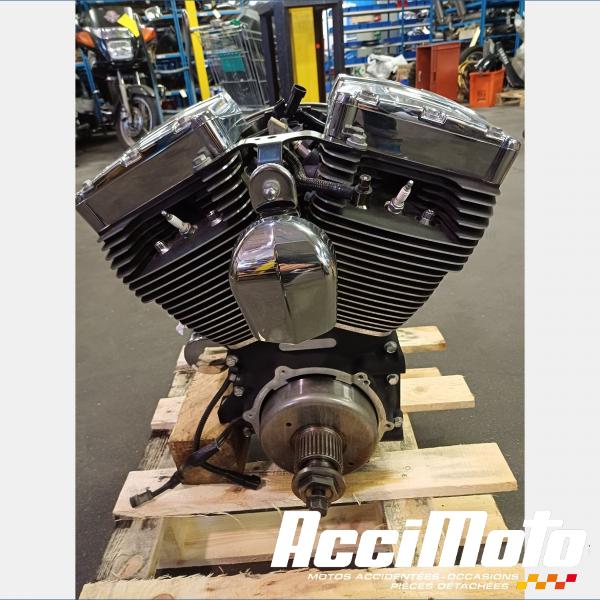 Pièce Moto Moteur HARLEY DAVIDSON ELECTRA GLIDE ULTRA LIMITED FLHTK