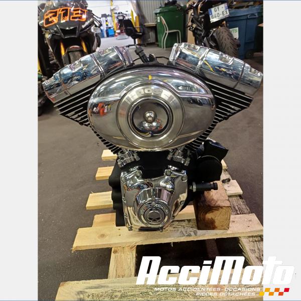 Pièce Moto Moteur HARLEY DAVIDSON ELECTRA GLIDE ULTRA LIMITED FLHTK