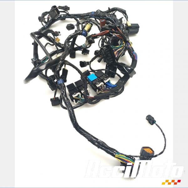 Pièce Moto Faisceau électrique (principal) TRIUMPH SPEED TRIPLE 1050 RS