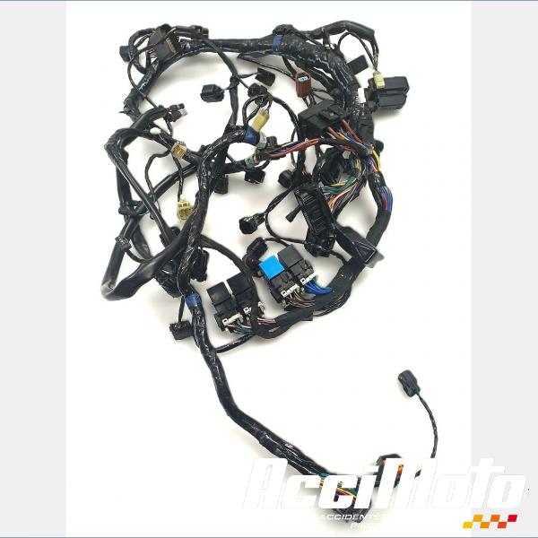 Pièce Moto Faisceau électrique (principal) TRIUMPH SPEED TRIPLE 1050 RS