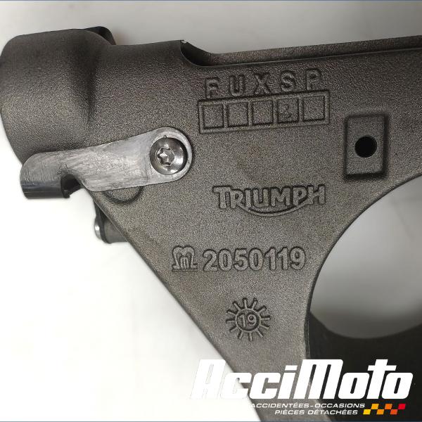 Pièce Moto MONO BRAS OSCILLANT TRIUMPH SPEED TRIPLE 1050 RS
