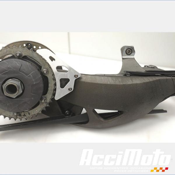 Pièce Moto MONO BRAS OSCILLANT TRIUMPH SPEED TRIPLE 1050 RS