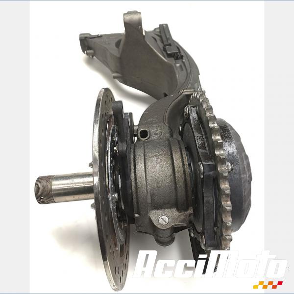 Pièce Moto MONO BRAS OSCILLANT TRIUMPH SPEED TRIPLE 1050 RS