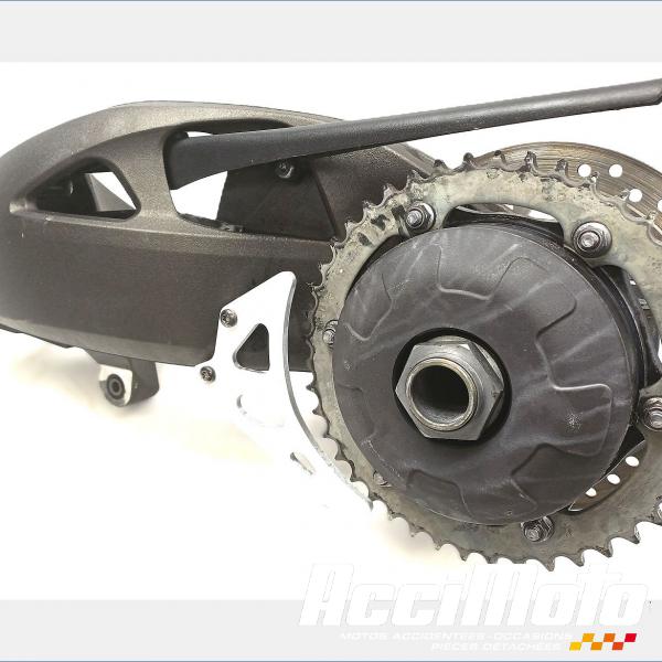 Pièce Moto MONO BRAS OSCILLANT TRIUMPH SPEED TRIPLE 1050 RS