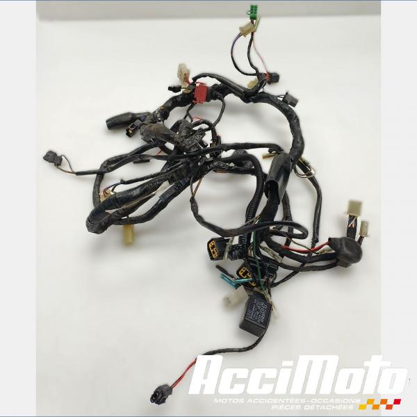 Pièce Moto Faisceau électrique (principal) KAWASAKI ZRX 1100