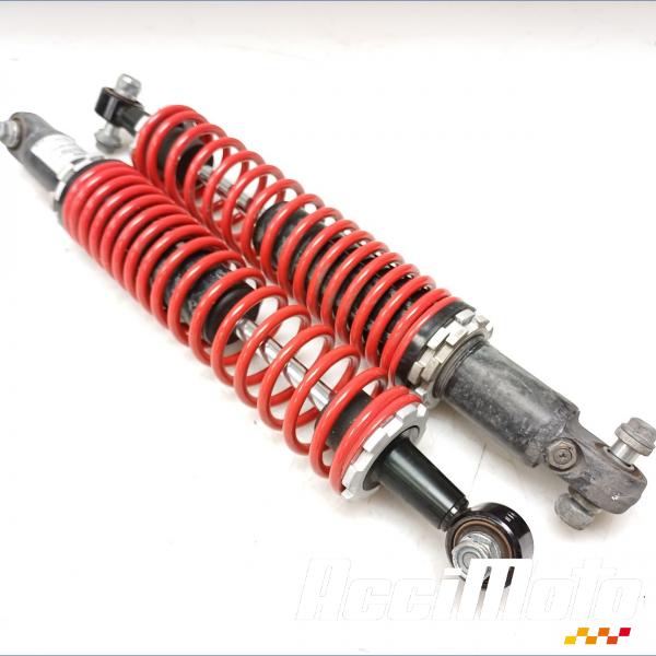 Pièce Moto Amortisseur (la paire) PIAGGIO MP3 500 HPE