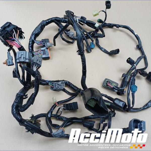 Pièce Moto Faisceau électrique (principal) KAWASAKI NINJA EX650