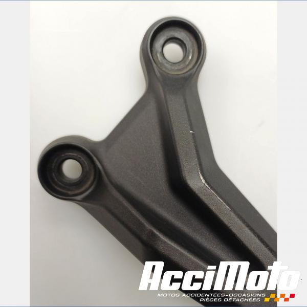 Pièce Moto Platine repose-pied arrière (gauche) KAWASAKI NINJA EX650