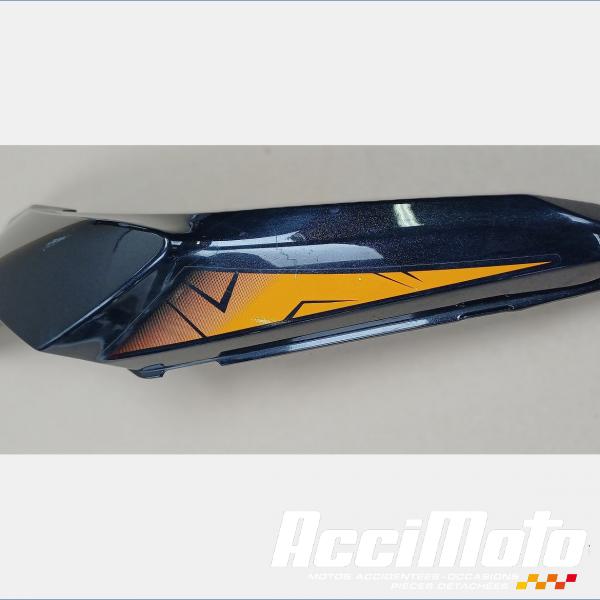 Pièce Moto Coque arrière (droite) KAWASAKI NINJA EX650
