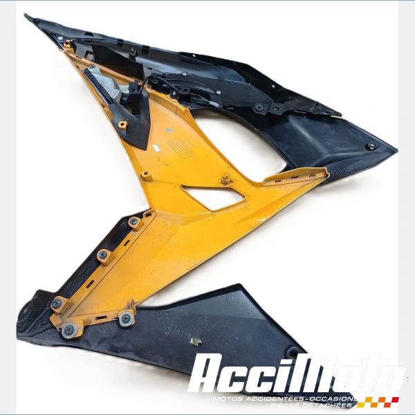 Part Motor bike Flanc de carénage avant (droit) KAWASAKI NINJA EX650