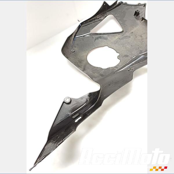 Pièce Moto Flanc de carénage avant (gauche) HONDA CBR954