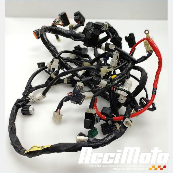 Pièce Moto Faisceau électrique (principal) YAMAHA TMAX XP530