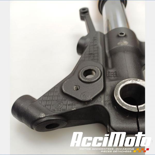 Pièce Moto Fourche complète YAMAHA TMAX XP530