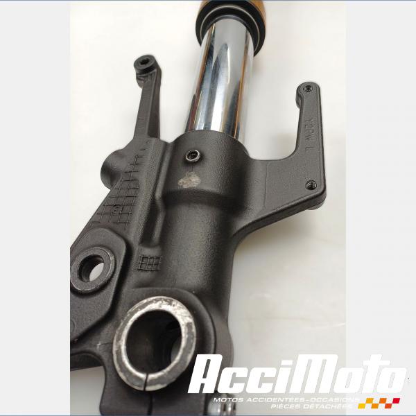 Pièce Moto Fourche complète YAMAHA TMAX XP530