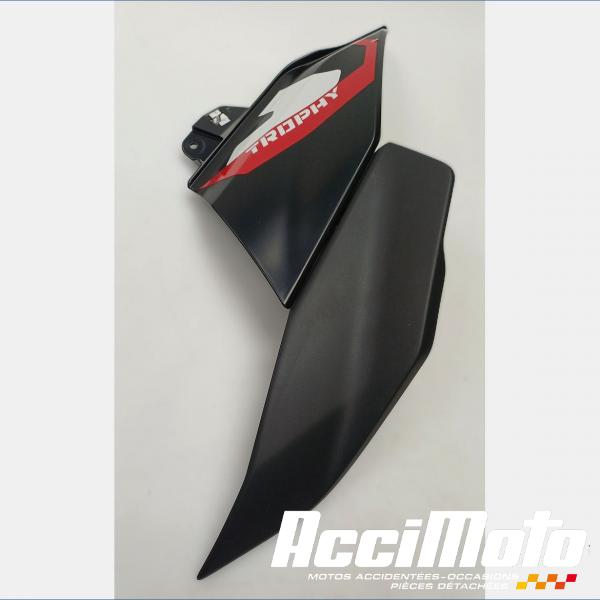 Pièce Moto Flanc de carénage avant (droit) BMW R1300 GS