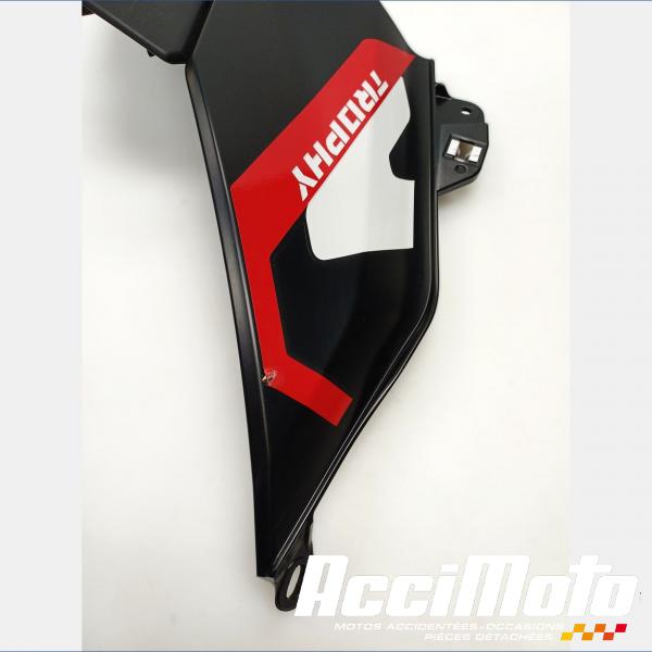 Pièce Moto Flanc de carénage avant (droit) BMW R1300 GS