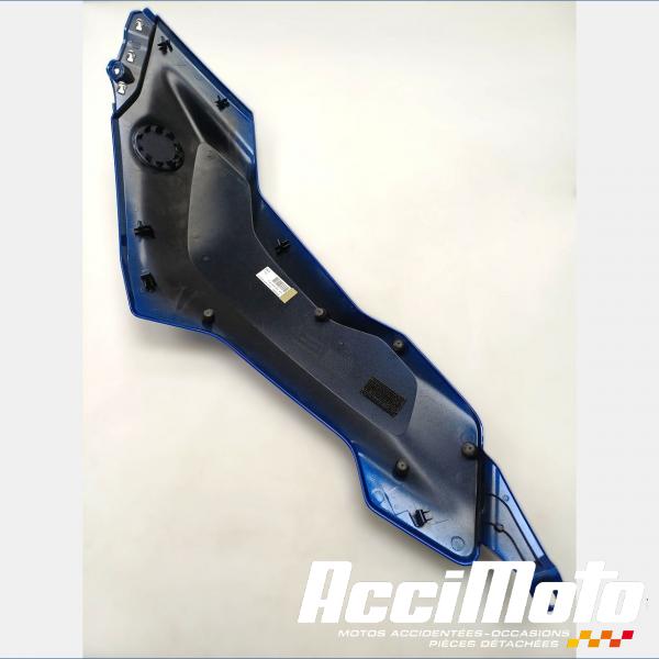 Pièce Moto Flanc de carénage avant (gauche) BMW R1300 GS