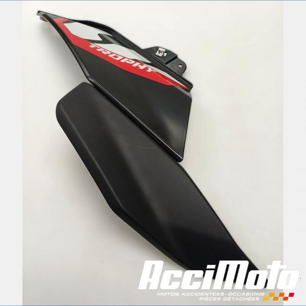 Pièce Moto Flanc de carénage avant (gauche) BMW R1300 GS