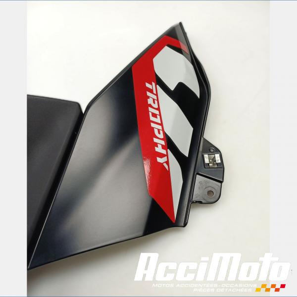 Pièce Moto Flanc de carénage avant (gauche) BMW R1300 GS