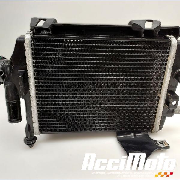 Pièce Moto RADIATEUR REFROIDISSEMENT D BMW R1300 GS