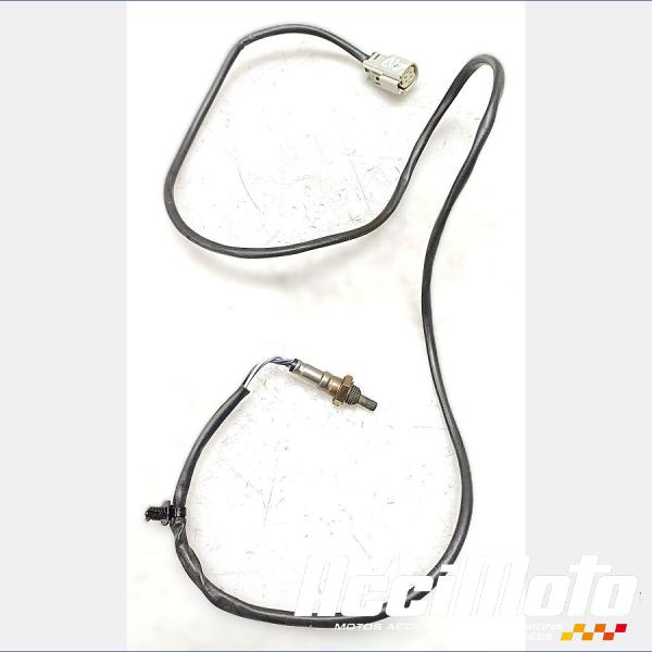 Pièce Moto Sonde lambda HARLEY DAVIDSON ROAD GLIDE FLTRXST