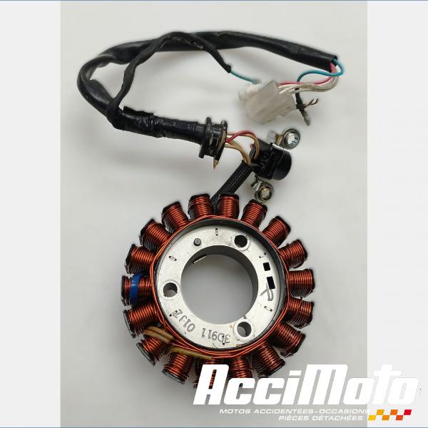 Pièce Moto Stator d'alternateur YAMAHA YBR 125