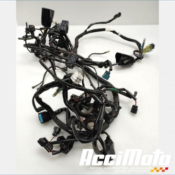 Part Motor bike Faisceau électrique (principal) KAWASAKI NINJA EX400