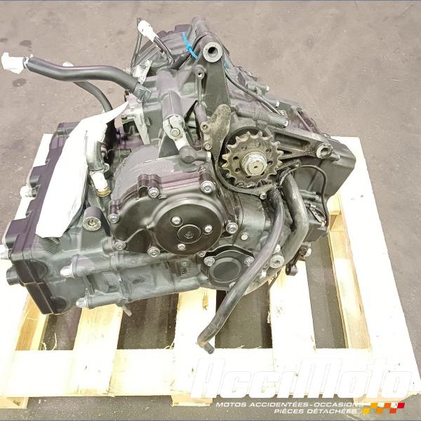 Pièce Moto Moteur YAMAHA FZ8 N