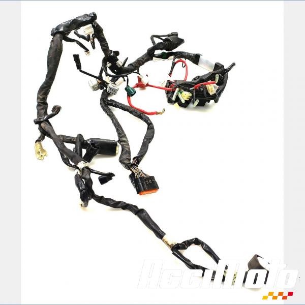 Pièce Moto Faisceau électrique (principal) YAMAHA FZ8 N