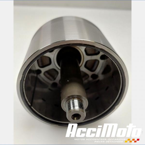 Pièce Moto Rotor d'alternateur YAMAHA FZ8 N