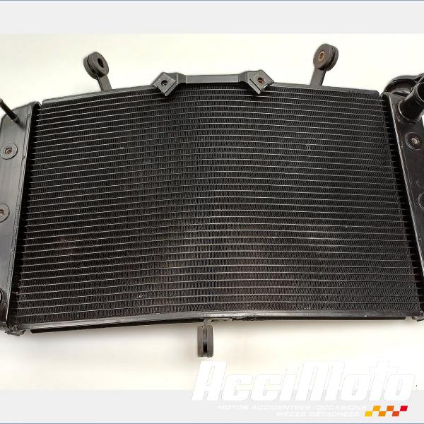 Pièce Moto Radiateur de refroidissement YAMAHA FZ8 N
